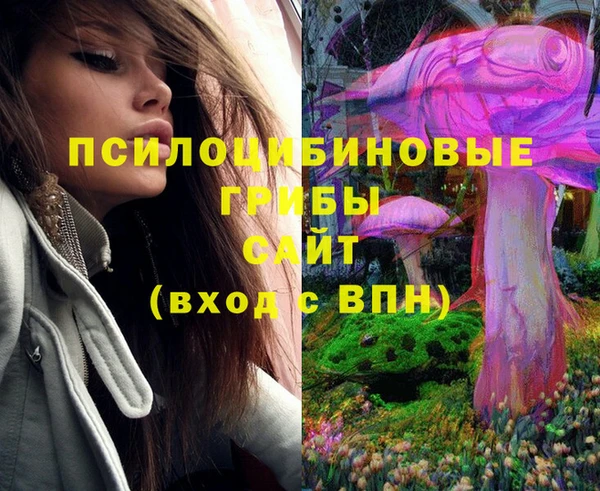 индика Алексеевка